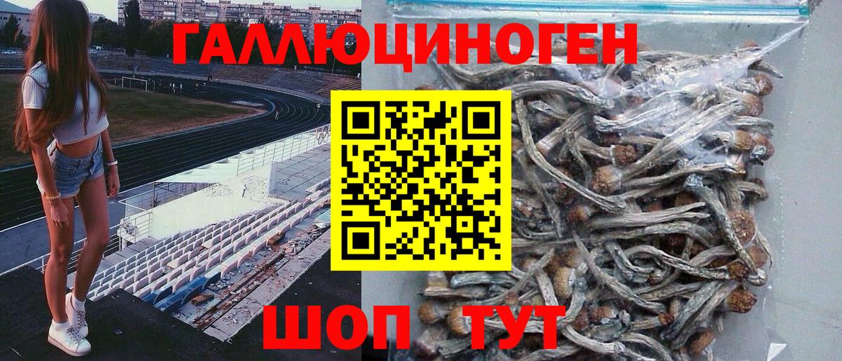 Галлюциногенные грибы Magic Shrooms  Вход с VPN  Богданович 