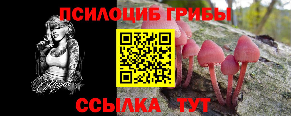 Псилоцибиновые грибы мухоморы Богданович