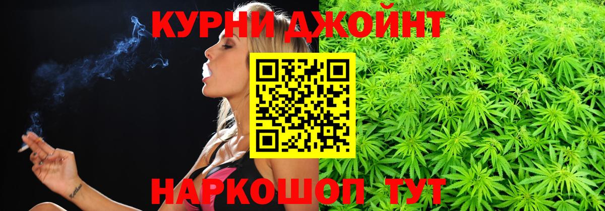 Каннабис план Богданович